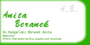 anita beranek business card